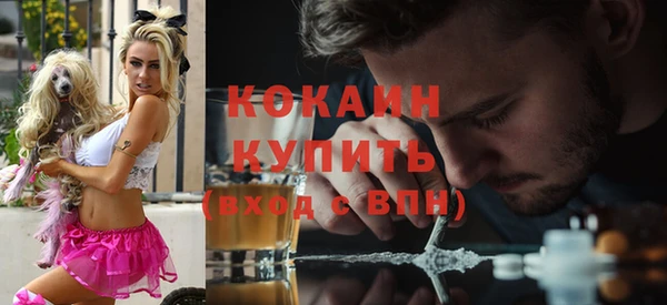 спиды Алзамай