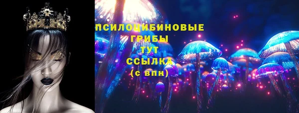 спиды Алзамай
