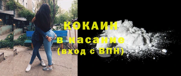 шишки Абинск
