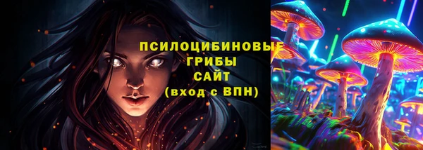 прущий лед Алексеевка