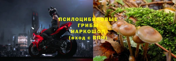 спиды Алзамай
