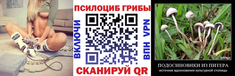 Галлюциногенные грибы MAGIC MUSHROOMS  Переславль-Залесский 