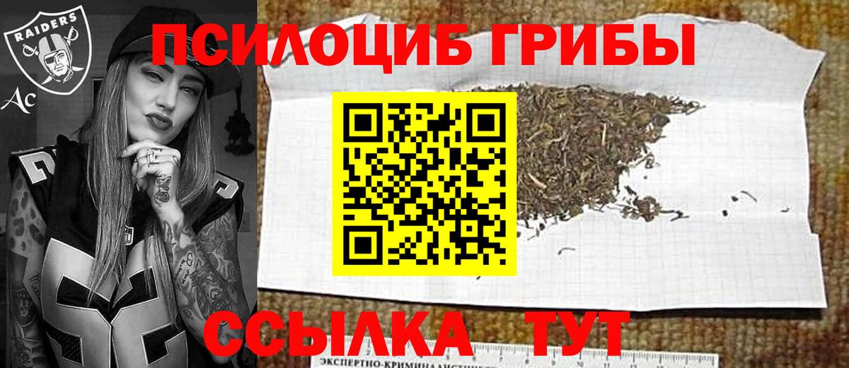 Галлюциногенные грибы Psilocybe  Вход с VPN  Псилоцибиновые грибы прущие грибы  Переславль-Залесский 