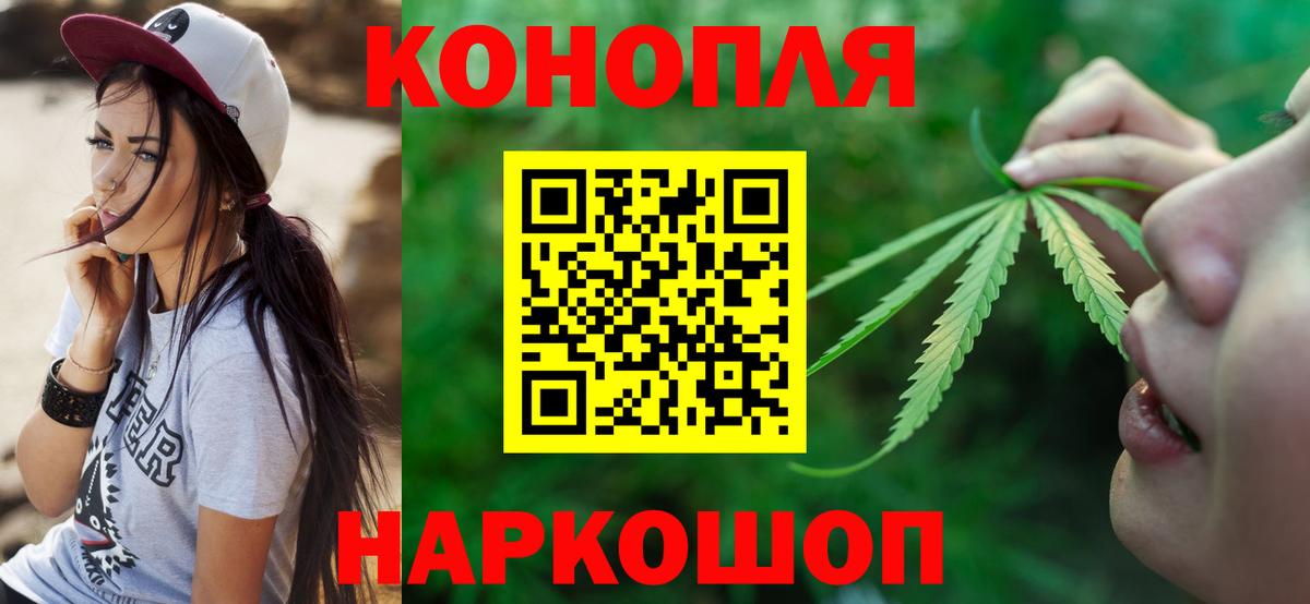 Марихуана планчик  Бошки Шишки SATIVA & INDICA  Переславль-Залесский  Вход с VPN  Шишки марихуана план 